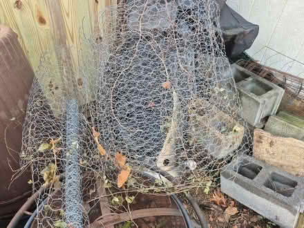 Photo of free chicken wire fencing (20817) #1