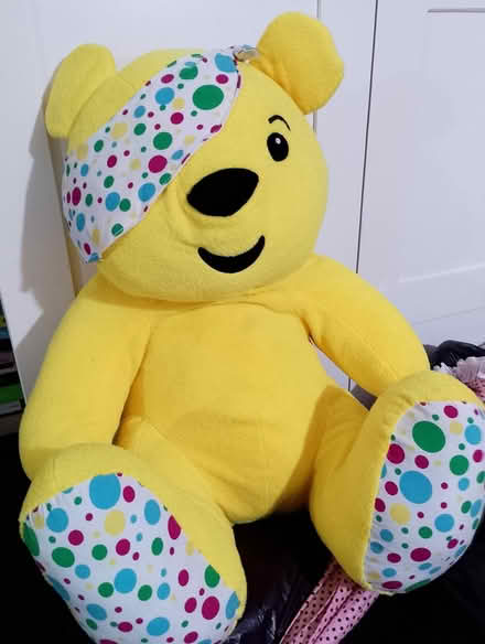 Photo of free Large Pudsy (Princes Risborough HP27) #1