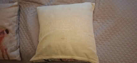 Photo of free Cushion (Malvern WR14) #2