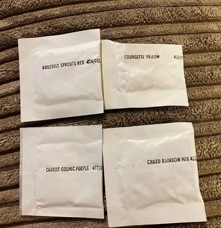 Photo of free Veg seeds and pots 🥕 (Waddon) #2