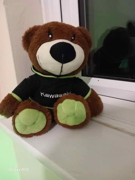 Photo of free Kawasaki teddy bear (IP1) #1