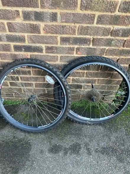 Photo of free Mountain bike wheels (Rusthall) #2
