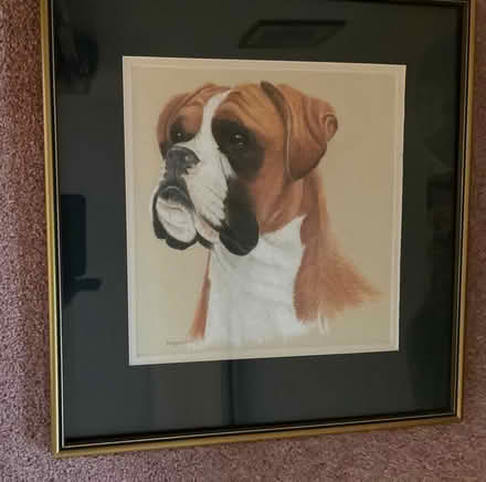 Photo of free Dog painting using Pastel (New Brighton CH45) #1