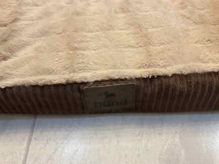 Photo of free Dog bed (Waverton CH3) #2