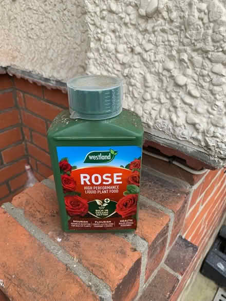 Photo of free Rose plant food (Chelmsford CM2) #1