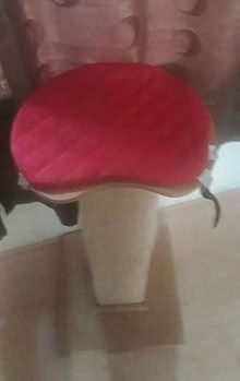 Photo of free Cat scratching post. (Greenhill DY10) #2