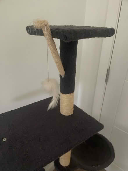 Photo of free Cat tree (Penrith CA11) #4