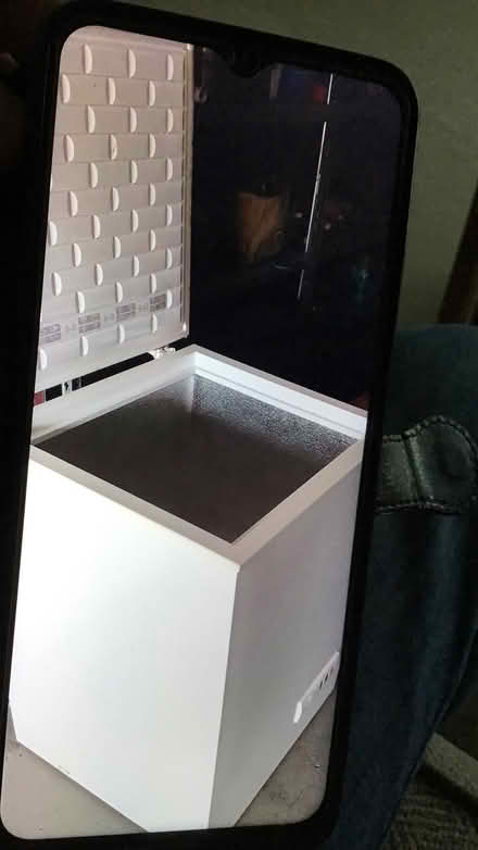 Photo of free Freezer (My Lord's Rock TN40) #1