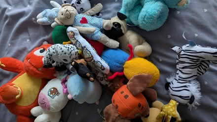 Photo of free Selection of small soft toys (Bishop Auckland DL14) #3