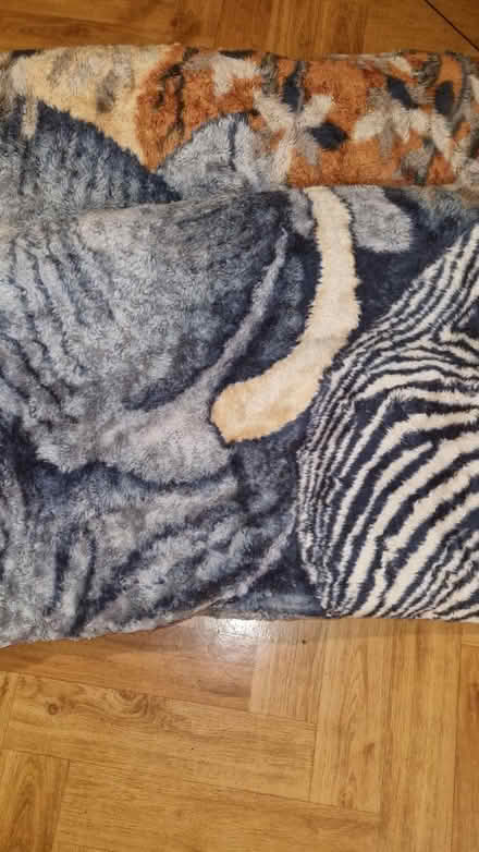 Photo of free Big fluffy blanket (Lambeth SW8) #1