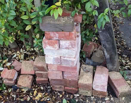 Photo of free Bricks (Oxford OX4) #1