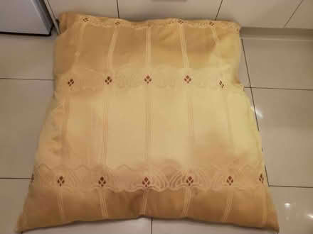 Photo of free 2 large floor cushions (Sneinton NG2) #1