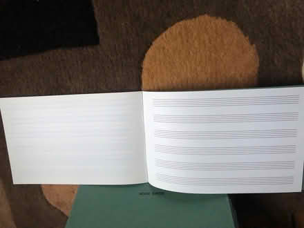 Photo of free Music practice books x 30 (Chesham HP5) #2