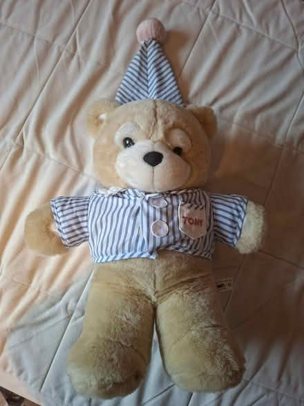 Photo of free Tomy Teddy (FK9 Bridge of Allan) #3