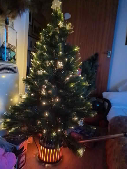 Photo of free Colour changing fibre optic tree (Starcross EX6) #1