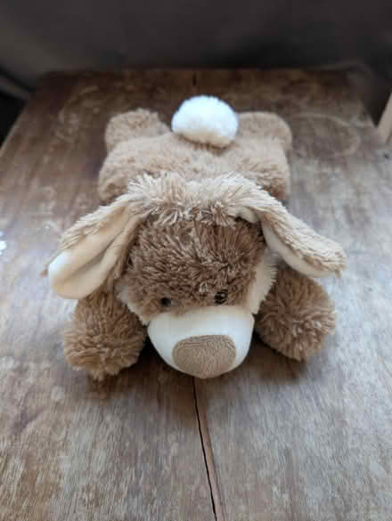 Photo of free Microwave heat up cuddly bunny (Stirchley/Kings Heath B30) #1