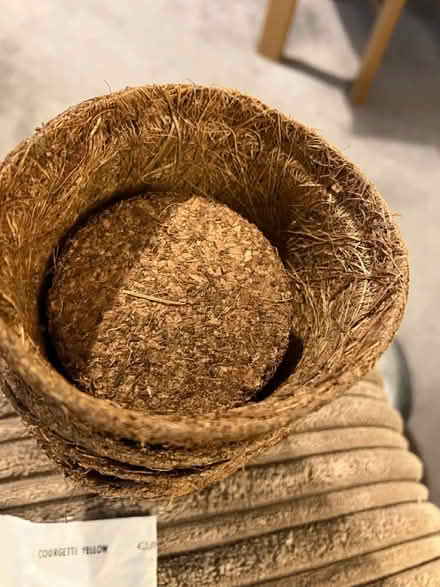 Photo of free Veg seeds and pots 🥕 (Waddon) #3