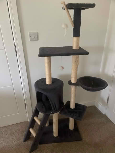 Photo of free Cat tree (Penrith CA11) #1