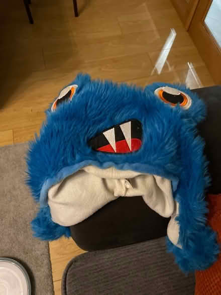 Photo of free Fun hat (Leigh on sea SS9) #1