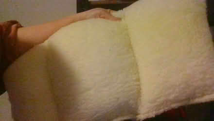 Photo of free 2 x lumber back cushions (Bath BA2) #2