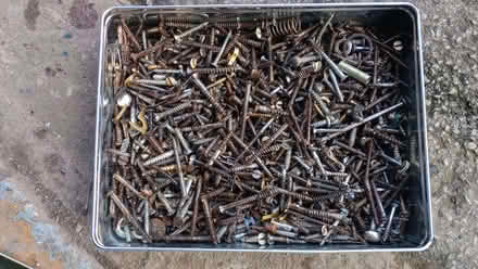 Photo of free Wood screws (Natland LA9) #1