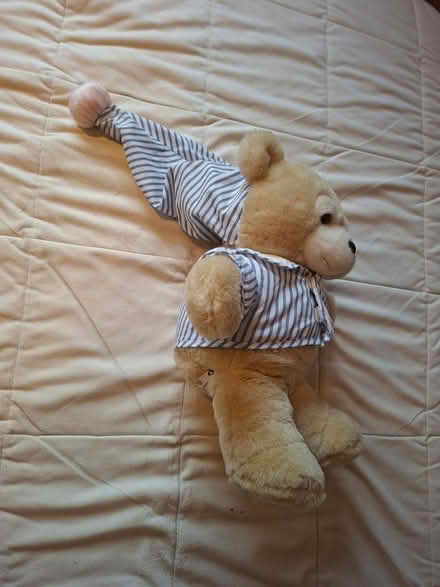 Photo of free Tomy Teddy (FK9 Bridge of Allan) #2
