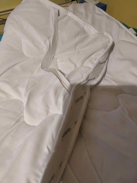 Photo of free Single mattress topper (Oakdale, Poole BH15) #3