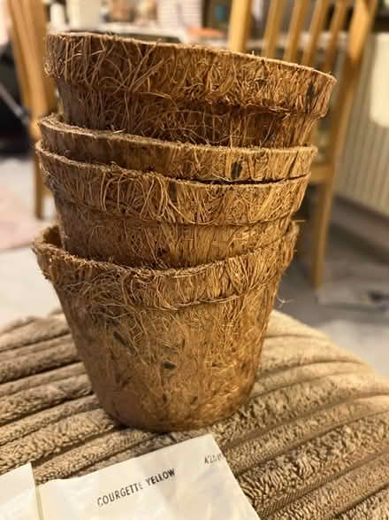 Photo of free Veg seeds and pots 🥕 (Waddon) #4