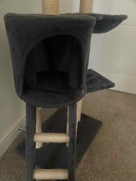 Photo of free Cat tree (Penrith CA11) #2