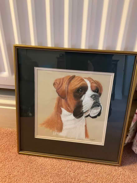 Photo of free Dog painting using Pastel (New Brighton CH45) #2