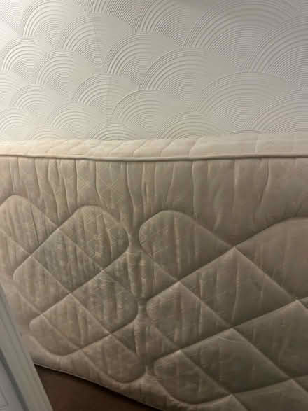 Photo of free Double size bed (DN4 8AJ) #1