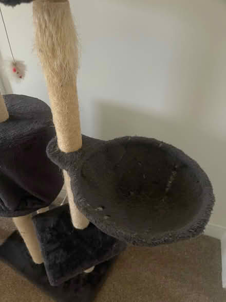 Photo of free Cat tree (Penrith CA11) #3