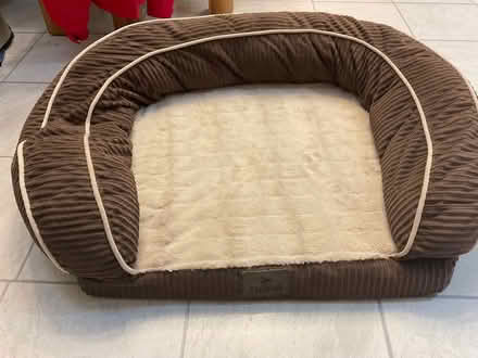 Photo of free Dog bed (Waverton CH3) #1