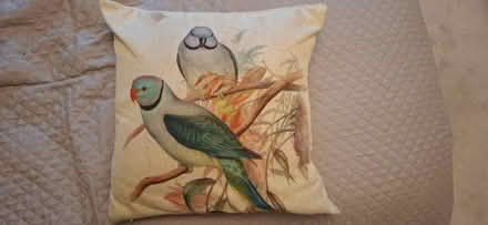 Photo of free Cushion (Malvern WR14) #1