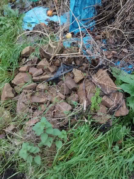 Photo of free Stone (Smalley DE7) #1