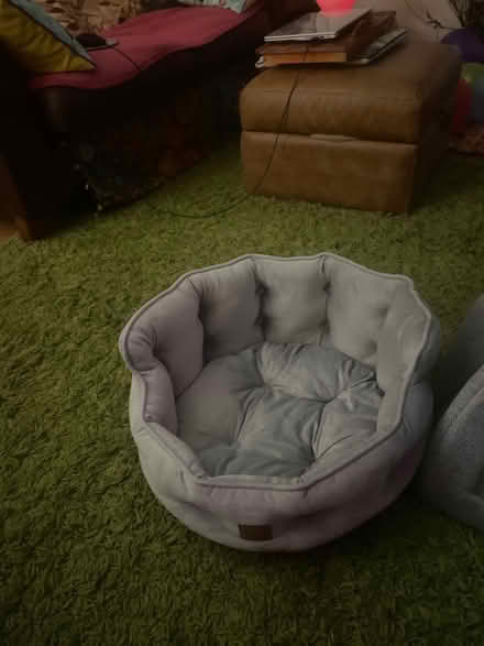 Photo of free Cat beds (Edinburgh EH16) #2