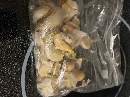 Photo of free Garlic (L5L 5P5) #1