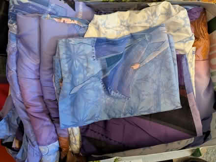 Photo of free Frozen twin sheet set & comforter (Wash Hts/Inwood) #2