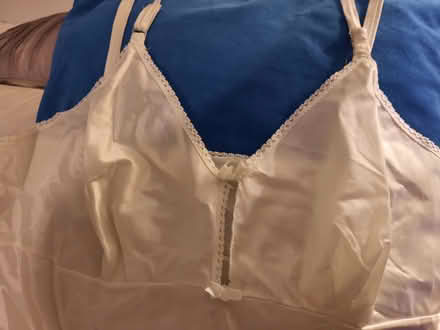 Photo of free New Full Slip, (Medium) (Hunt Club / McCarthy Rd.) #2