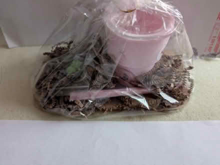 Photo of free Tiny tumbler w/ straw, tiny turtle (Greenwood Village) #3