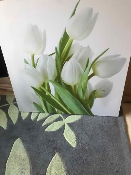 Photo of free Large Canvas (Writhlington) #1