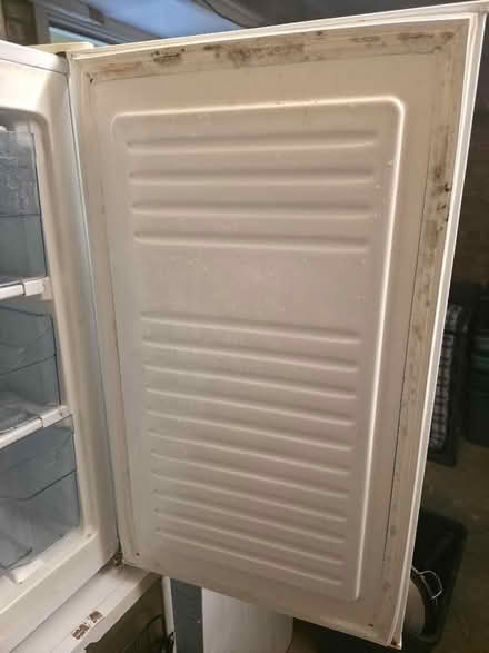 Photo of free Proline Freezer (Swindon Village GL51) #2