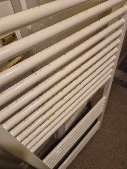 Photo of free Heated towel rail radiator (Shap CA10) #2