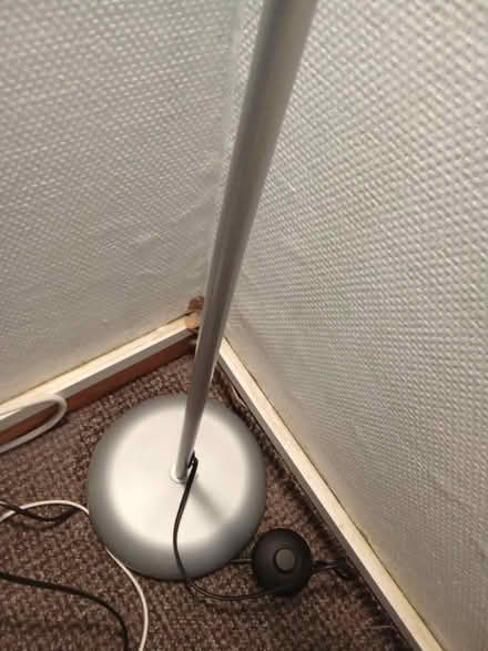Photo of free Floor lamp (Willesborough) #2