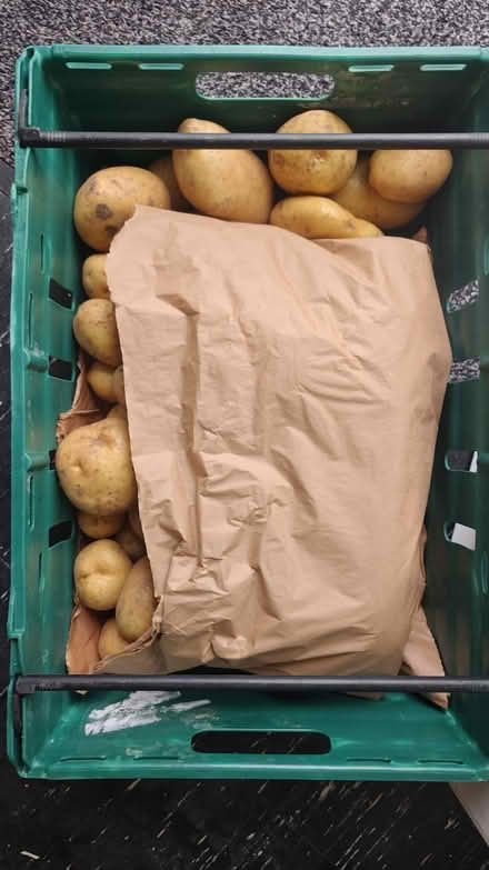 Photo of free Lots of fresh fruit and vegetables (E14 Isle of Dogs) #2