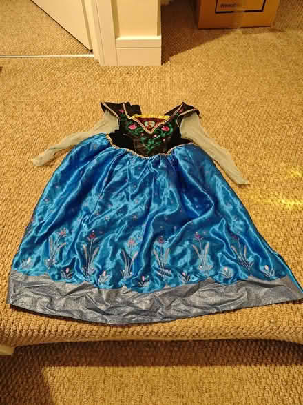 Photo of free Anna from Frozen Dress 5-6 Years (RG7, Reading) #1