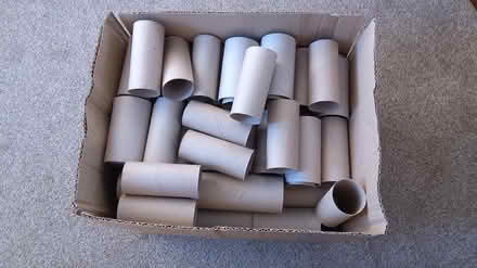 Photo of free Cardboard tubes - crafts/ seedlings (Newton Abbot) #1