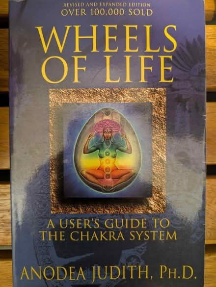 Photo of free Wheels of Life boon (Downtown Oak Park) #1