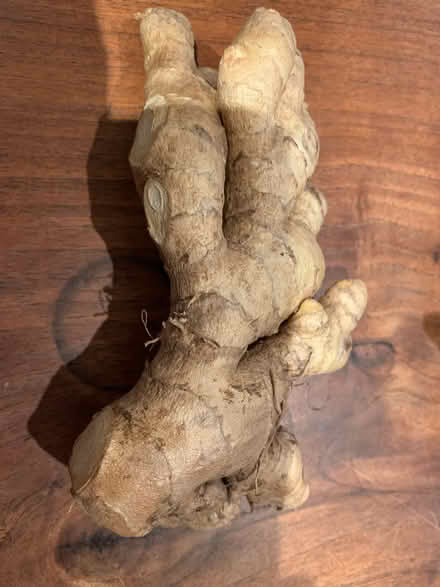 Photo of free Organic ginger (East End Toronto) #1