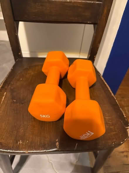 Photo of free Two 5kg weights (SW9 6LW) #1